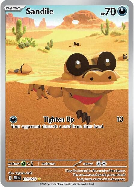 Sandile (135/086) (BLK)