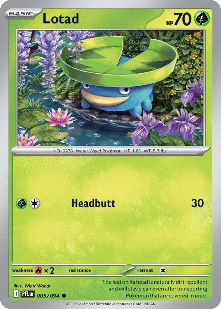 Lotad (005/094) (PFL)