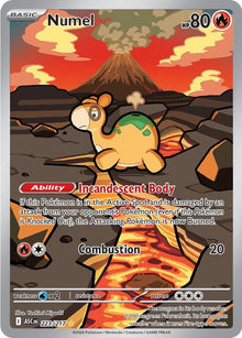Numel (223/217) (ASC)